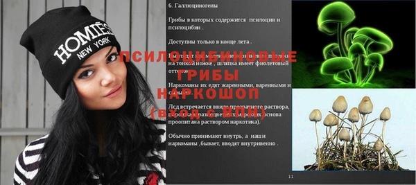 дживик Новозыбков